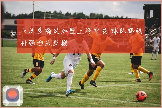 卡沃多确定加盟上海申花 球队锋线补强迎来新援