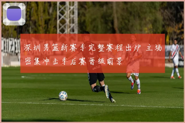 深圳男篮新赛季完整赛程出炉 主场密集冲击季后赛晋级前景