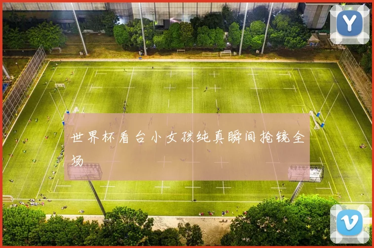 世界杯看台小女孩纯真瞬间抢镜全场