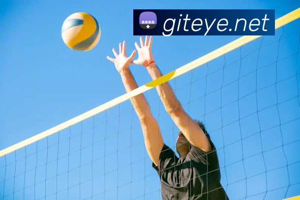 lejing乐竞体育平台生态图